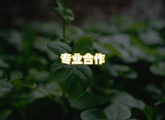 专业合作